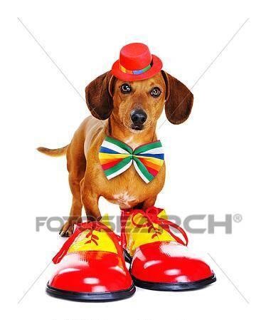 Le Pèque reprend son bâton de pèlerin